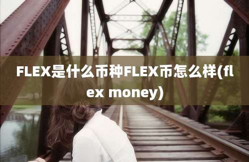 FLEX是什么币种FLEX币怎么样(flex money)