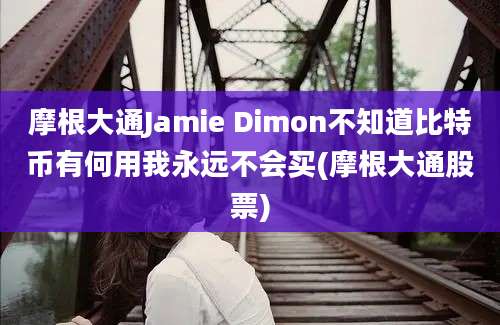 摩根大通Jamie Dimon不知道比特币有何用我永远不会买(摩根大通股票)