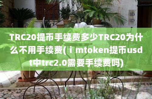 TRC20提币手续费多少TRC20为什么不用手续费(ⅰmtoken提币usdt中trc2.0需要手续费吗)