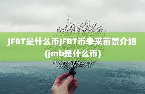 JFBT是什么币JFBT币未来前景介绍(jmb是什么币)