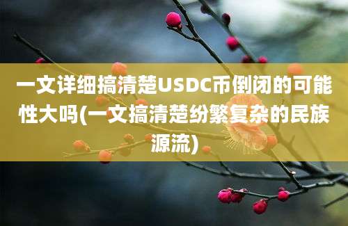 一文详细搞清楚USDC币倒闭的可能性大吗(一文搞清楚纷繁复杂的民族源流)