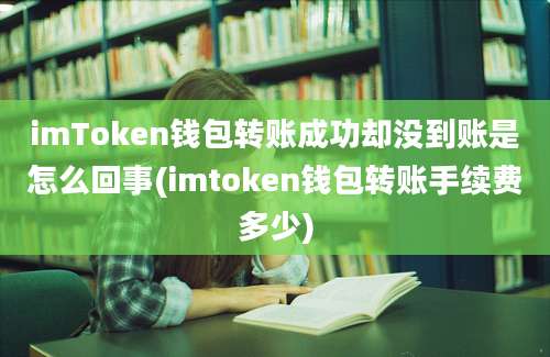 imToken钱包转账成功却没到账是怎么回事(imtoken钱包转账手续费多少)