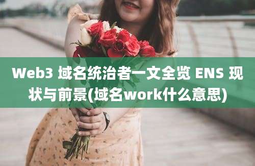 Web3 域名统治者一文全览 ENS 现状与前景(域名work什么意思)