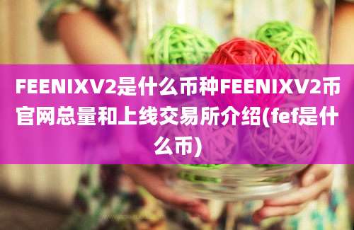 FEENIXV2是什么币种FEENIXV2币官网总量和上线交易所介绍(fef是什么币)