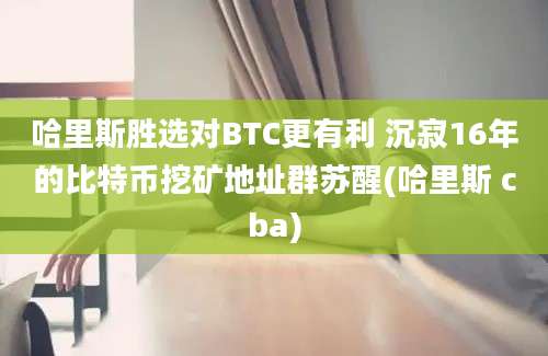 哈里斯胜选对BTC更有利 沉寂16年的比特币挖矿地址群苏醒(哈里斯 cba)