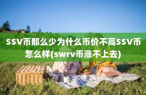 SSV币那么少为什么币价不高SSV币怎么样(swrv币涨不上去)