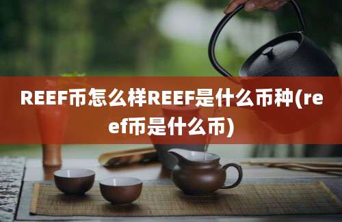 REEF币怎么样REEF是什么币种(reef币是什么币)