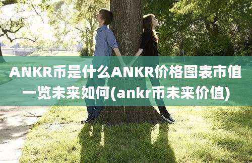 ANKR币是什么ANKR价格图表市值一览未来如何(ankr币未来价值)