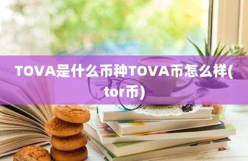 TOVA是什么币种TOVA币怎么样(tor币)