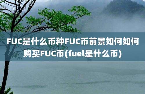 FUC是什么币种FUC币前景如何如何购买FUC币(fuel是什么币)