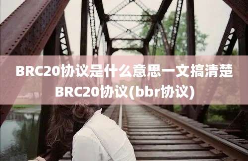 BRC20协议是什么意思一文搞清楚BRC20协议(bbr协议)