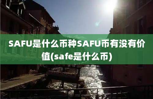 SAFU是什么币种SAFU币有没有价值(safe是什么币)