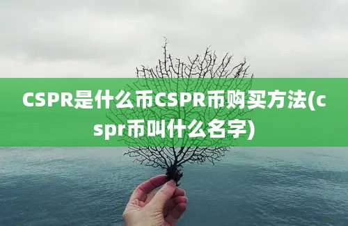 CSPR是什么币CSPR币购买方法(cspr币叫什么名字)