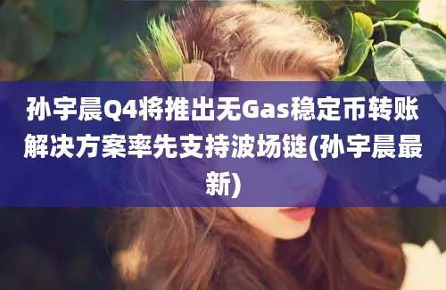 孙宇晨Q4将推出无Gas稳定币转账解决方案率先支持波场链(孙宇晨最新)