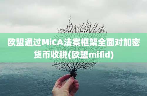 欧盟通过MiCA法案框架全面对加密货币收税(欧盟mifid)