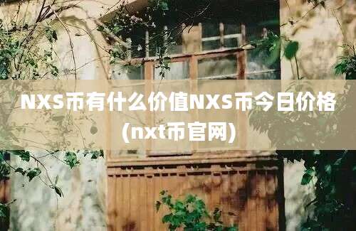 NXS币有什么价值NXS币今日价格(nxt币官网)