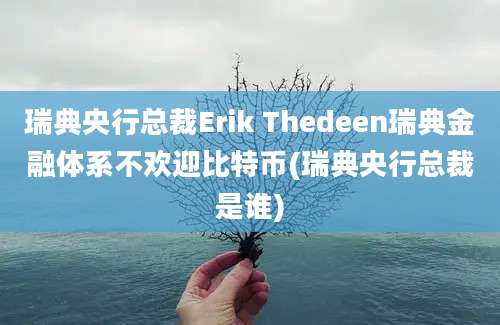 瑞典央行总裁Erik Thedeen瑞典金融体系不欢迎比特币(瑞典央行总裁是谁)