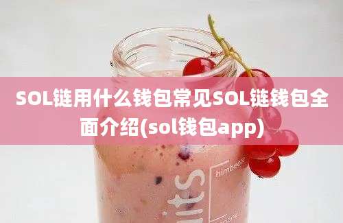 SOL链用什么钱包常见SOL链钱包全面介绍(sol钱包app)