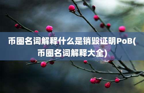 币圈名词解释什么是销毁证明PoB(币圈名词解释大全)