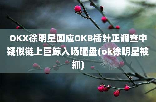 OKX徐明星回应OKB插针正调查中疑似链上巨鲸入场砸盘(ok徐明星被抓)