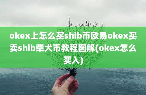 okex上怎么买shib币欧易okex买卖shib柴犬币教程图解(okex怎么买入)