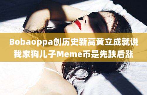 Bobaoppa创历史新高黄立成就说我家狗儿子Meme币是先跌后涨