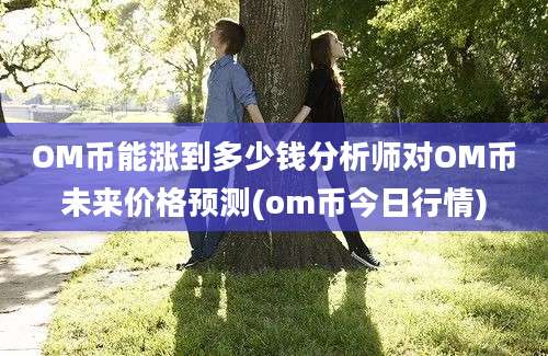 OM币能涨到多少钱分析师对OM币未来价格预测(om币今日行情)