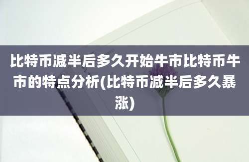 比特币减半后多久开始牛市比特币牛市的特点分析(比特币减半后多久暴涨)