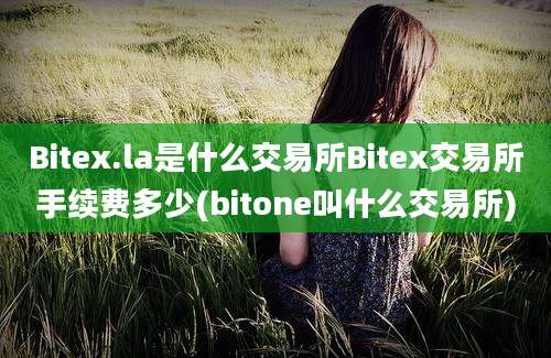 Bitex.la是什么交易所Bitex交易所手续费多少(bitone叫什么交易所)