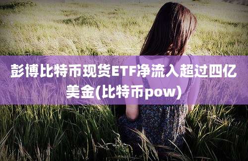 彭博比特币现货ETF净流入超过四亿美金(比特币pow)