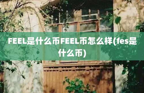 FEEL是什么币FEEL币怎么样(fes是什么币)