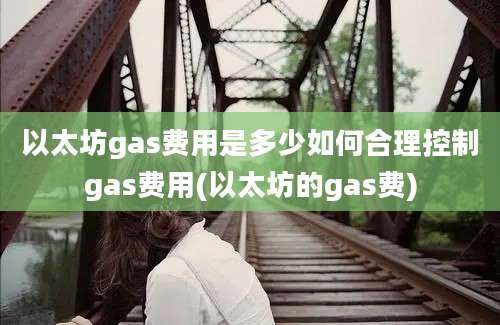 以太坊gas费用是多少如何合理控制gas费用(以太坊的gas费)