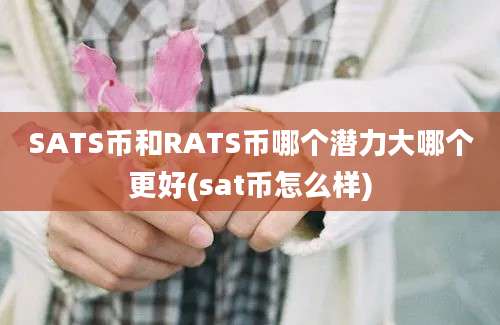 SATS币和RATS币哪个潜力大哪个更好(sat币怎么样)