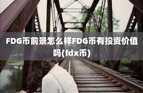 FDG币前景怎么样FDG币有投资价值吗(fdx币)