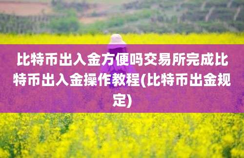 比特币出入金方便吗交易所完成比特币出入金操作教程(比特币出金规定)