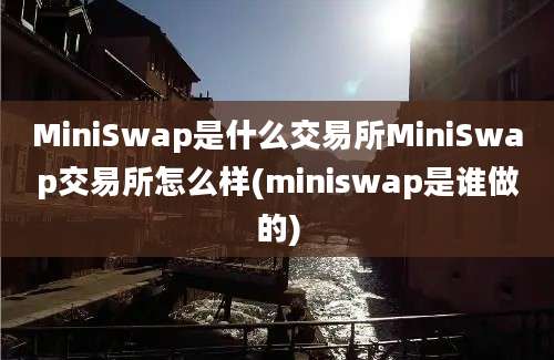 MiniSwap是什么交易所MiniSwap交易所怎么样(miniswap是谁做的)