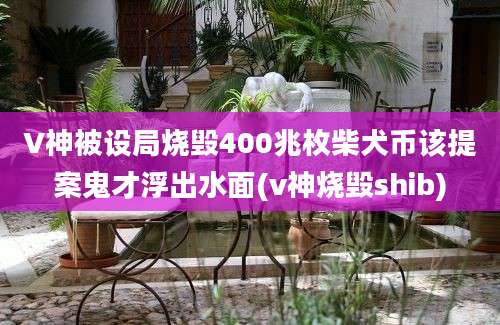 V神被设局烧毁400兆枚柴犬币该提案鬼才浮出水面(v神烧毁shib)