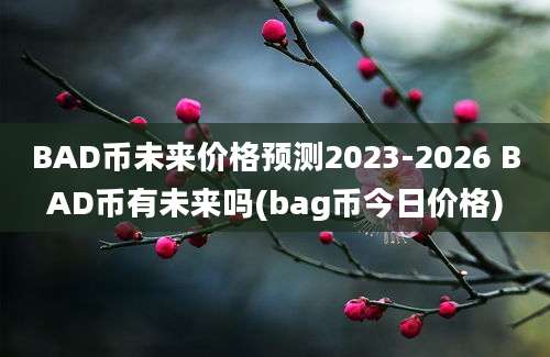 BAD币未来价格预测2023-2026 BAD币有未来吗(bag币今日价格)