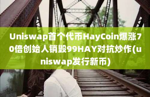 Uniswap首个代币HayCoin爆涨70倍创始人销毁99HAY对抗炒作(uniswap发行新币)