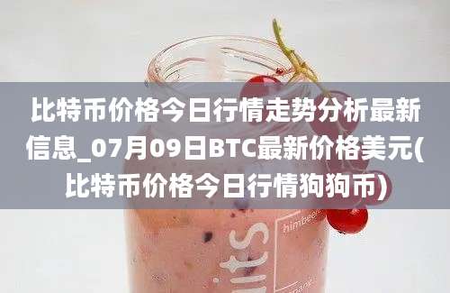 比特币价格今日行情走势分析最新信息_07月09日BTC最新价格美元(比特币价格今日行情狗狗币)