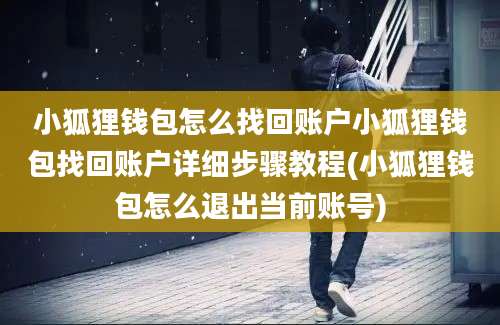 小狐狸钱包怎么找回账户小狐狸钱包找回账户详细步骤教程(小狐狸钱包怎么退出当前账号)