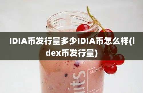 IDIA币发行量多少IDIA币怎么样(idex币发行量)