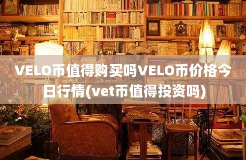 VELO币值得购买吗VELO币价格今日行情(vet币值得投资吗)