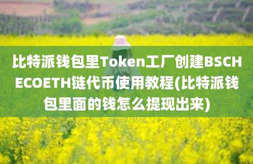 比特派钱包里Token工厂创建BSCHECOETH链代币使用教程(比特派钱包里面的钱怎么提现出来)