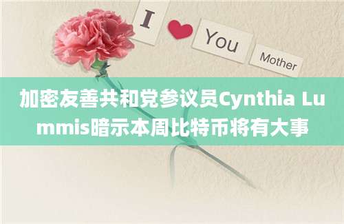 加密友善共和党参议员Cynthia Lummis暗示本周比特币将有大事