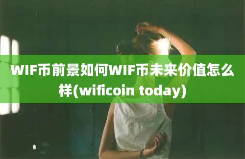 WIF币前景如何WIF币未来价值怎么样(wificoin today)