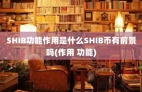 SHIB功能作用是什么SHIB币有前景吗(作用 功能)