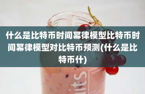 什么是比特币时间幂律模型比特币时间幂律模型对比特币预测(什么是比特币什)