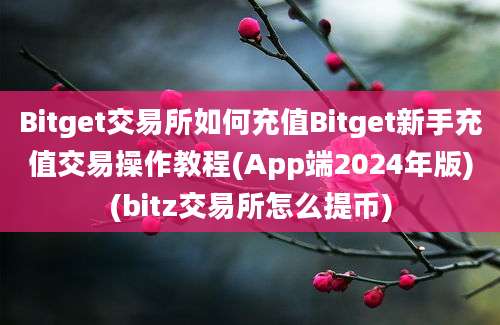 Bitget交易所如何充值Bitget新手充值交易操作教程(App端2024年版)(bitz交易所怎么提币)