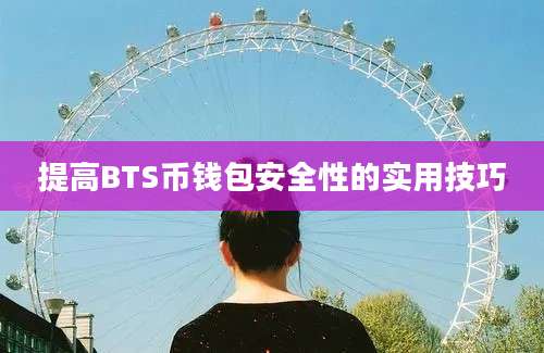 提高BTS币钱包安全性的实用技巧